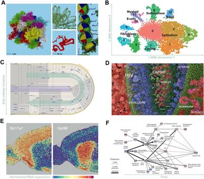 Frontiers | Grand Challenges In Bioinformatics Data Visualization